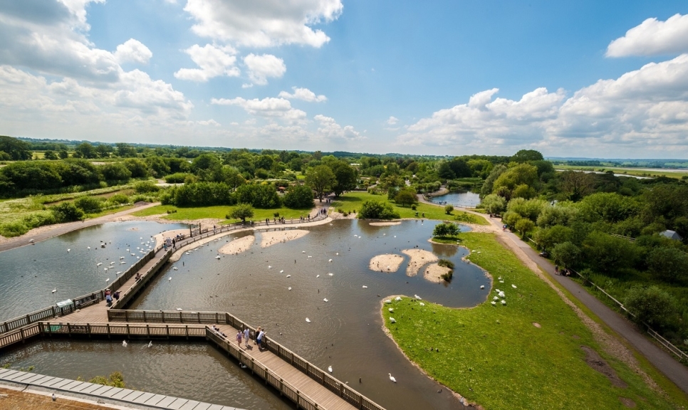 Slimbridge wins Silver in South West Tourism Awards in Accessible and Inclusive Category